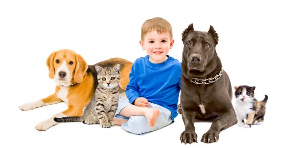State College Pets