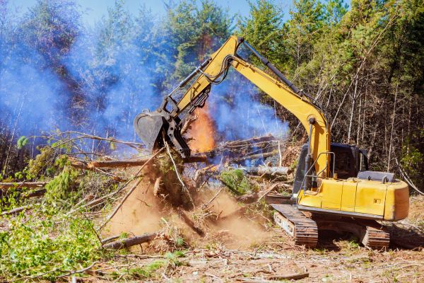 State College Land Clearing